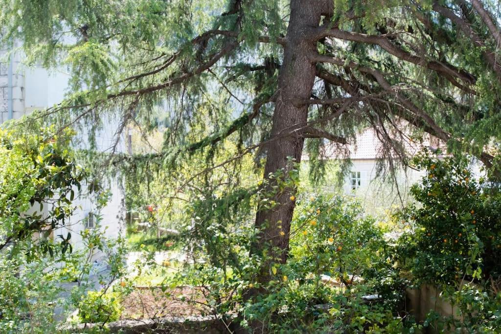 Apartmán Lapad Cove Dubrovník Exteriér fotografie